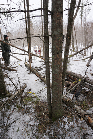 Michigan Poacher