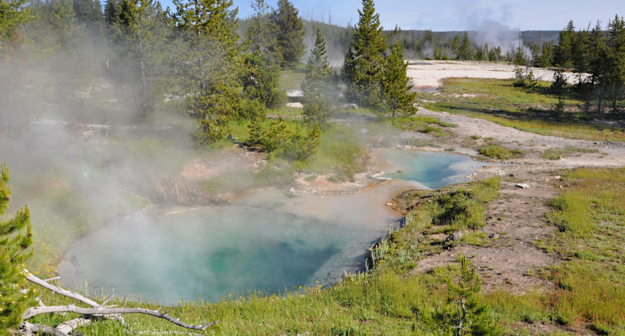 Yellowstone