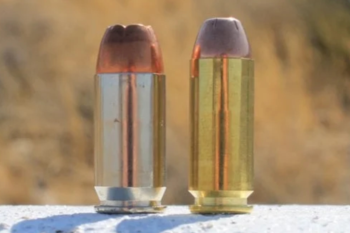 10mm vs .45 ACP