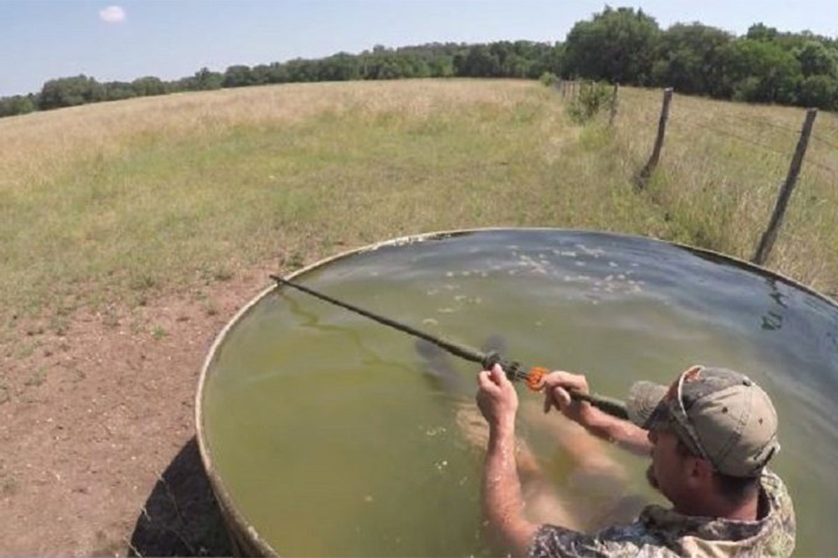 Tim Wells Sat in a Water Tank for 7 Hours to a Stalk Ram - Wide