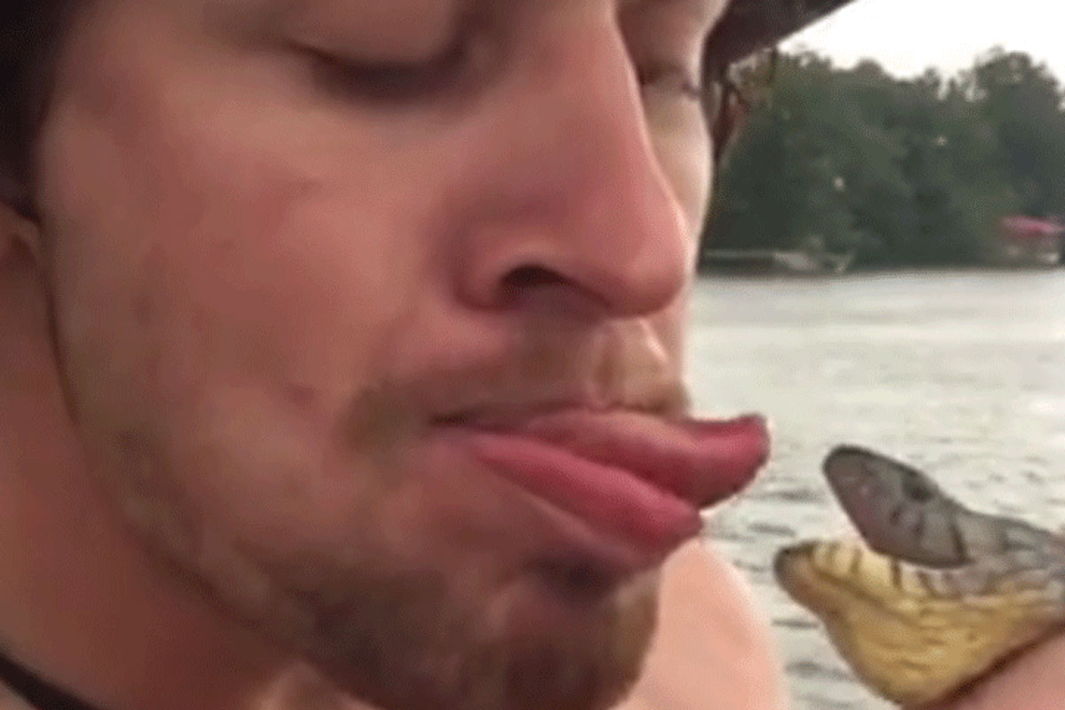 bit by snake