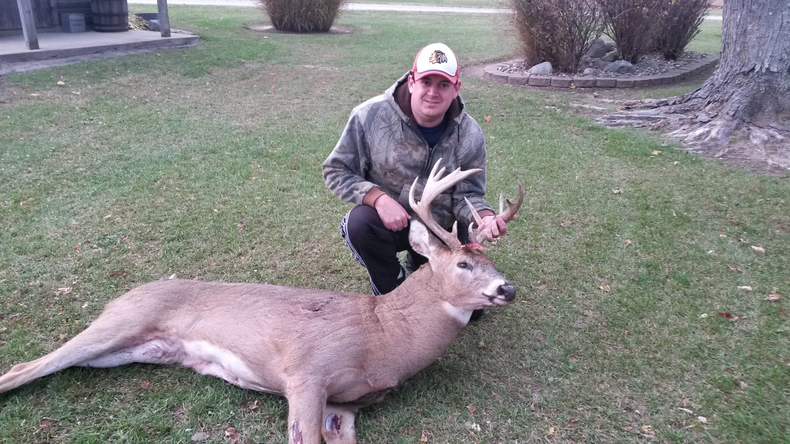 Whitetail vs. Mule Deer