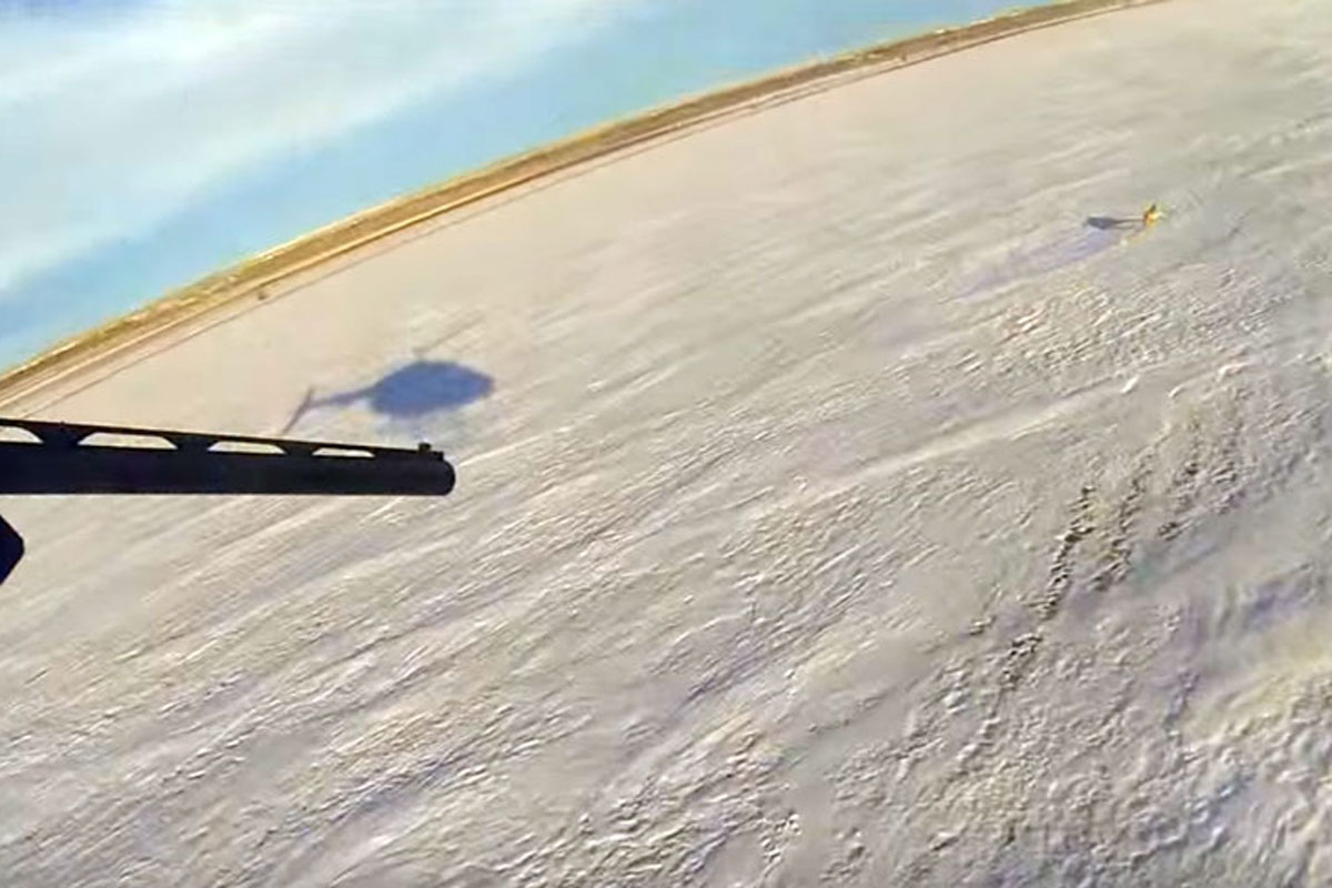 coyote hunting