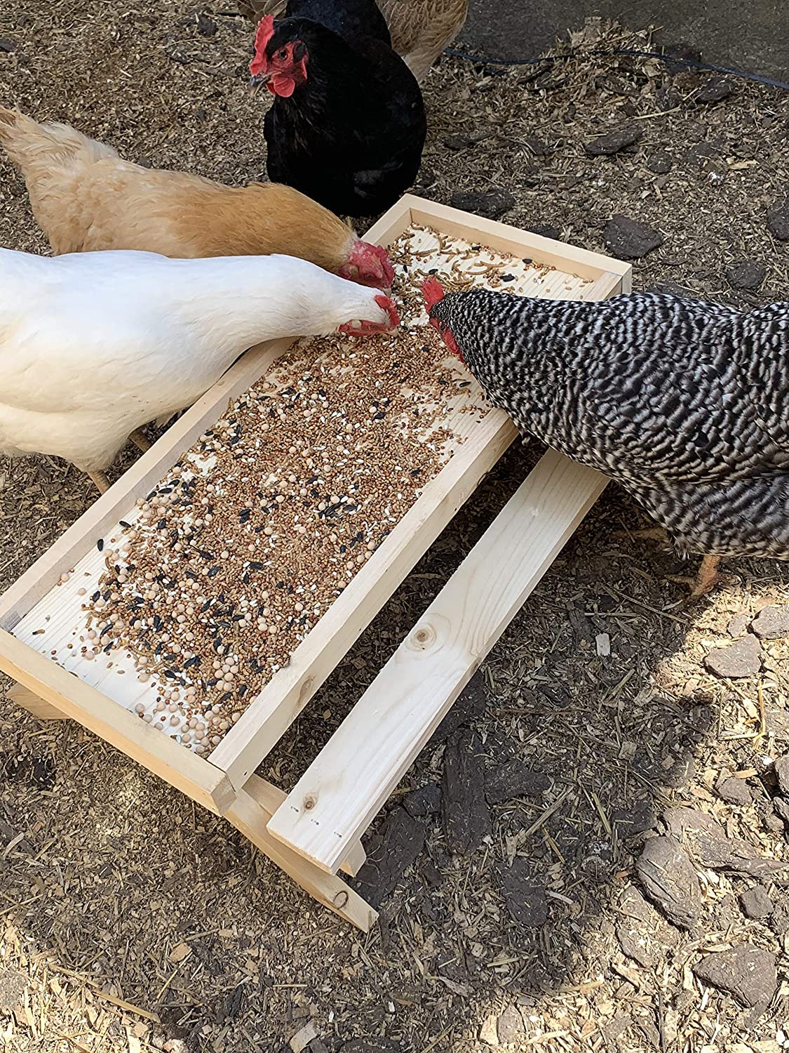 The Original Chicknic Table - Picnic Table for Chickens
