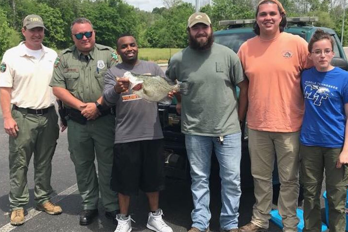 black crappie