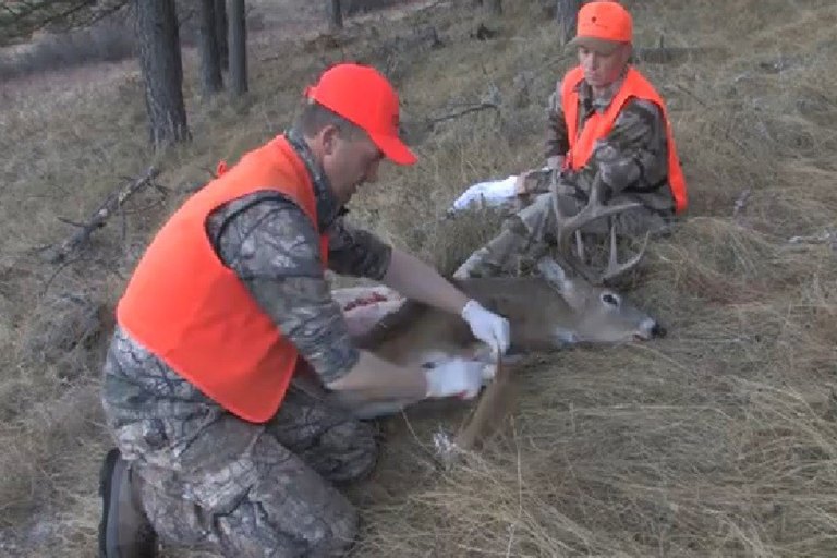 The Gutless Method of Dressing a Deer Wide Open Spaces