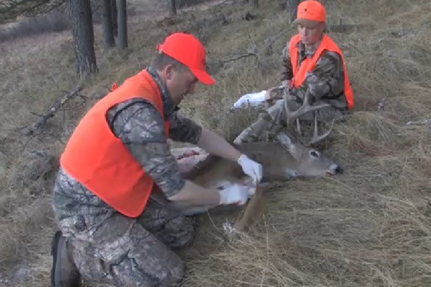 The Gutless Method of Dressing a Deer Wide Open Spaces