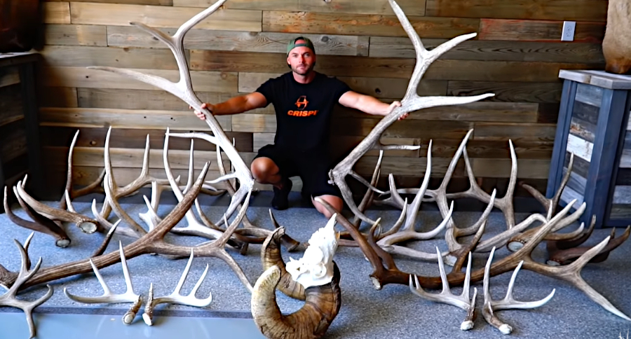 Shed Antlers