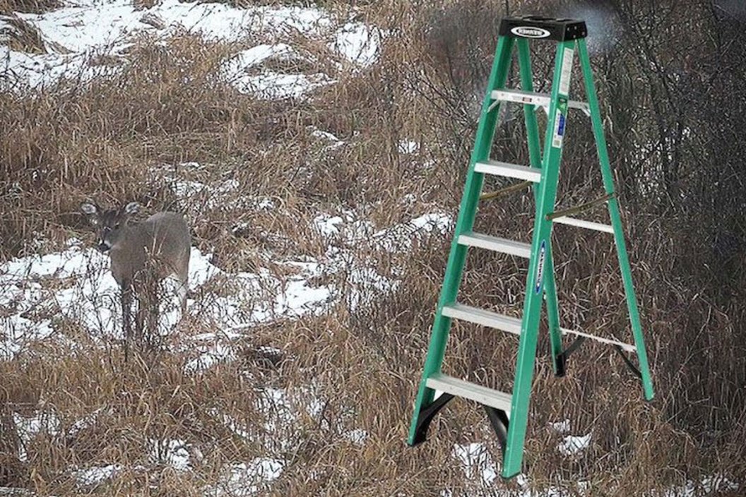 DIY ladder stand
