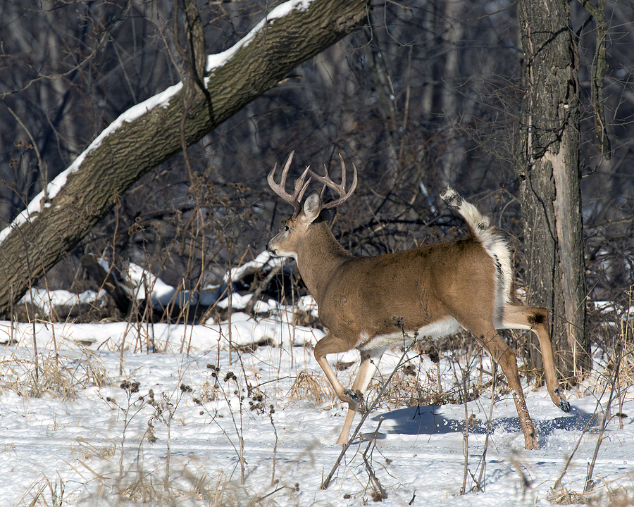 Hunting Injuries: Most Common, Plus Tips to Avoid Them - Wide Open Spaces