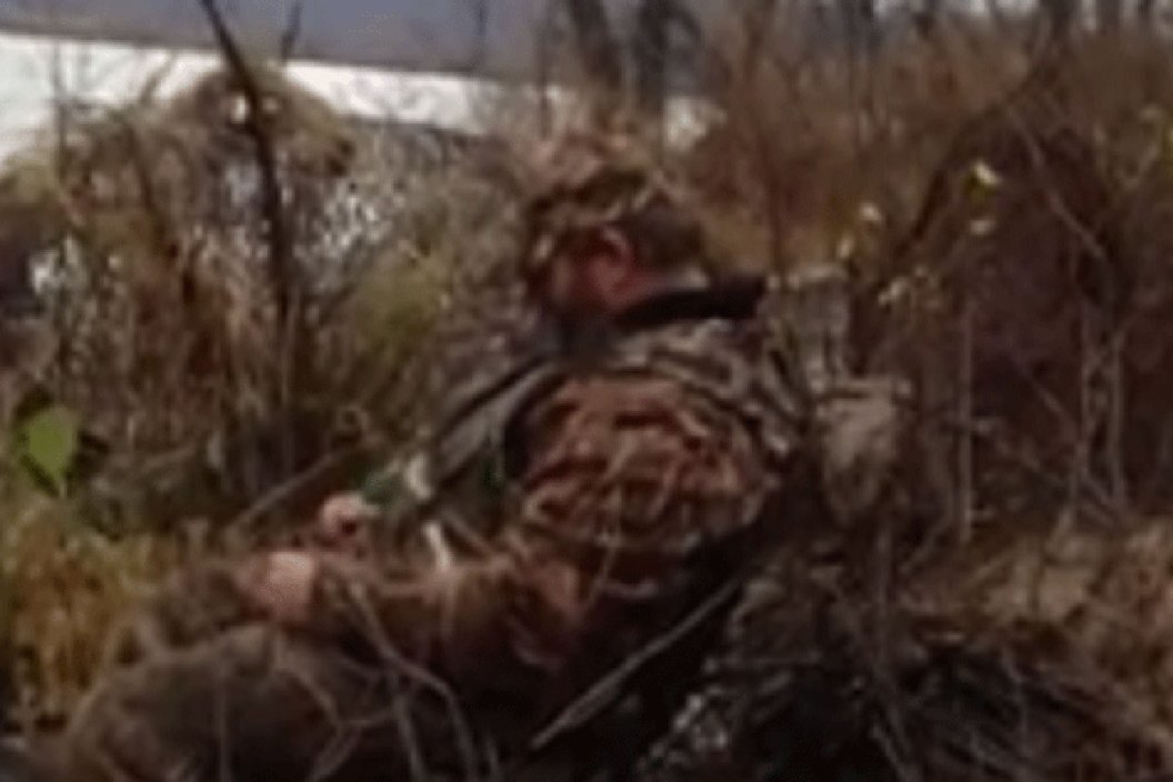 sleeping hunter
