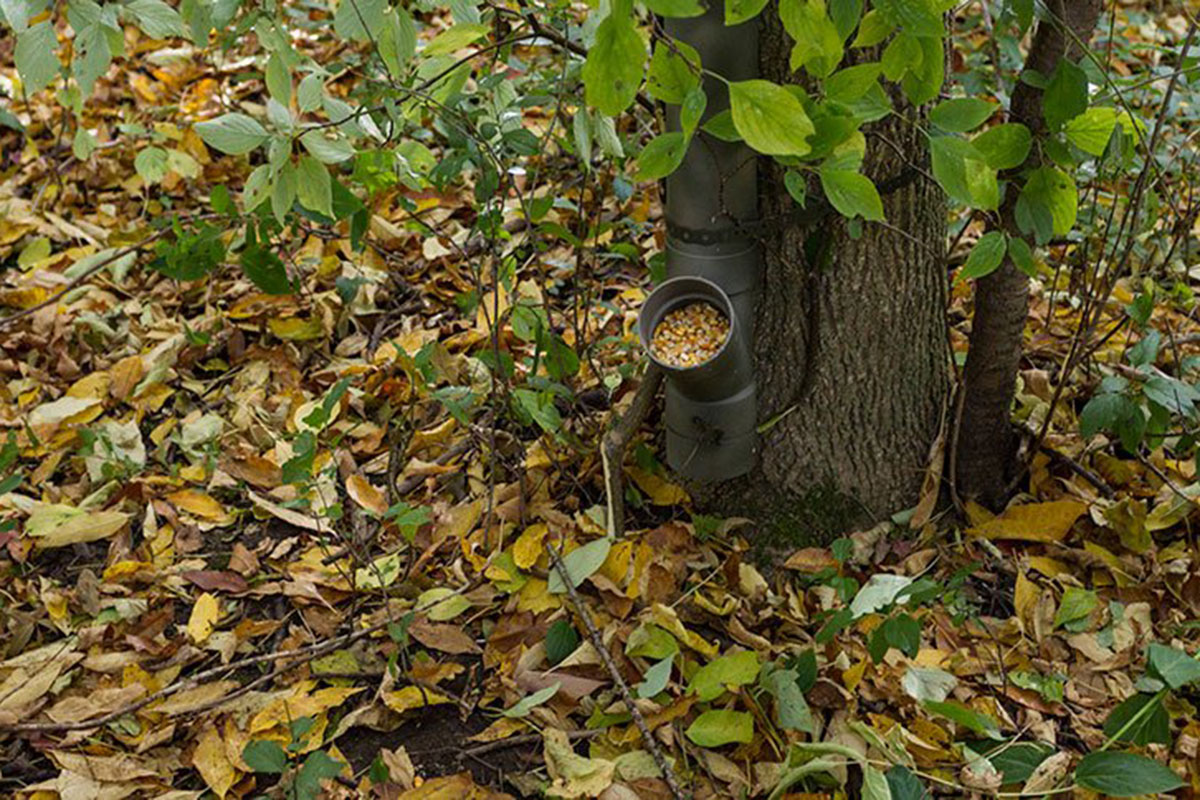 homemade deer feeder