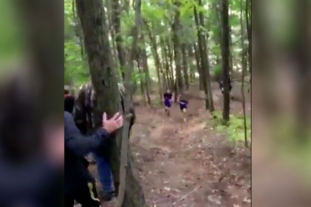 deer vs runners