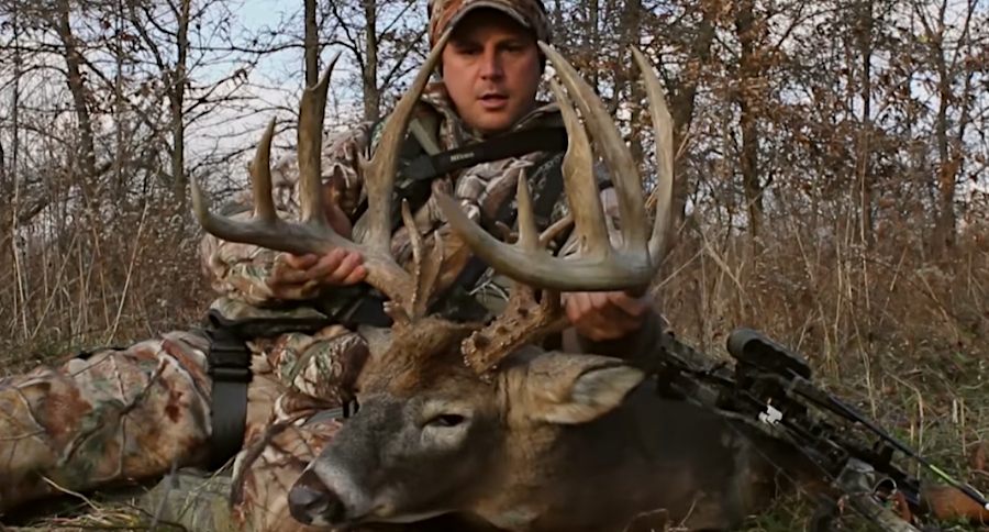 Iowa Buck