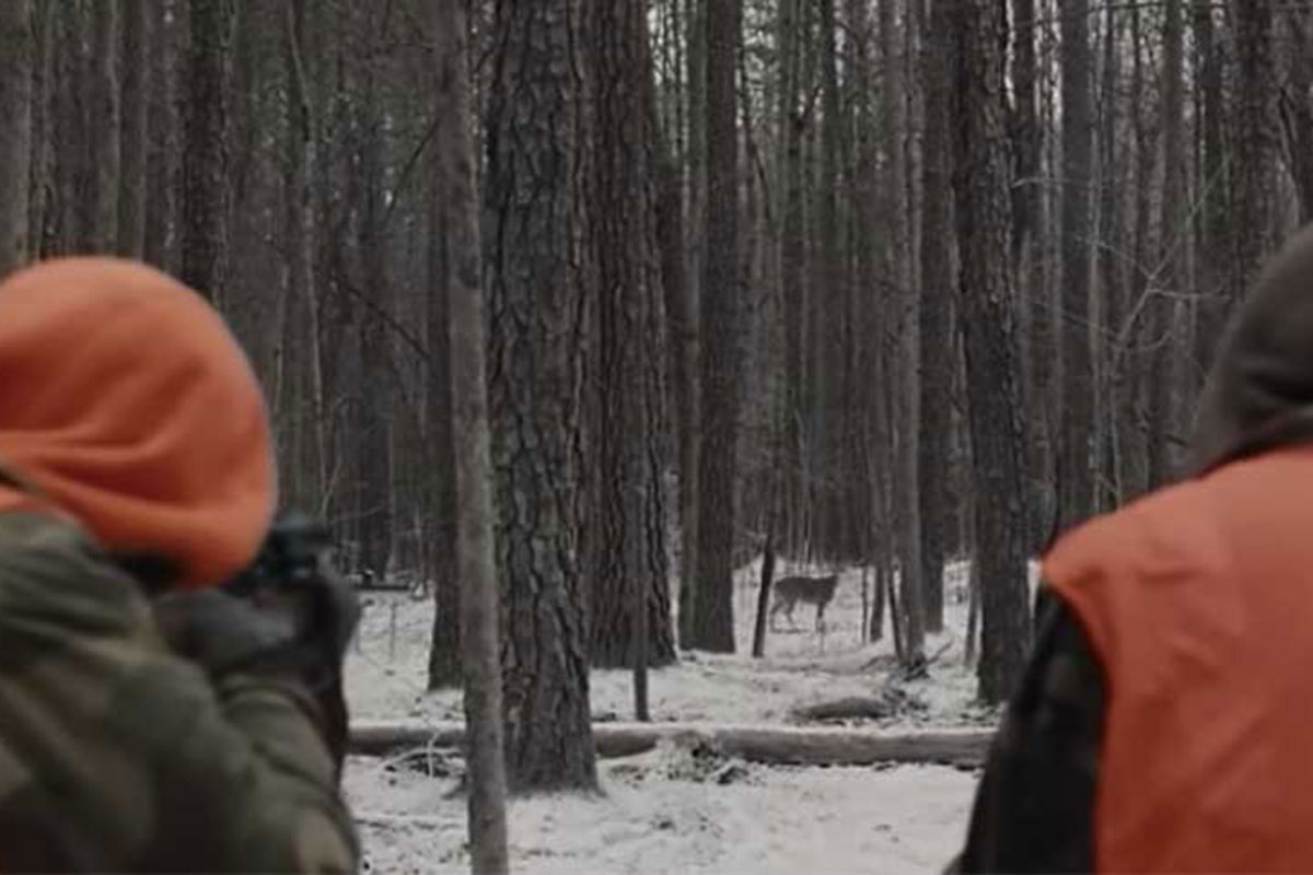deer hunting scene