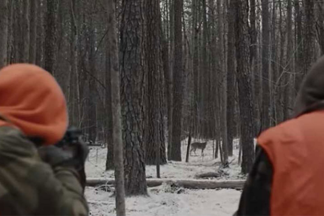deer hunting scene