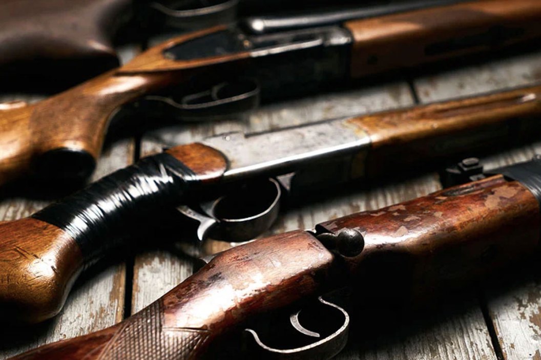 shotguns