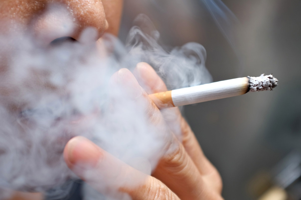 Smoking While Deer Hunting: Real Effects It Has on Deer Behavior Smoking While Deer Hunting: Real Effects It Has on Deer Behavior