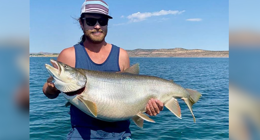 State Record Lake Trout