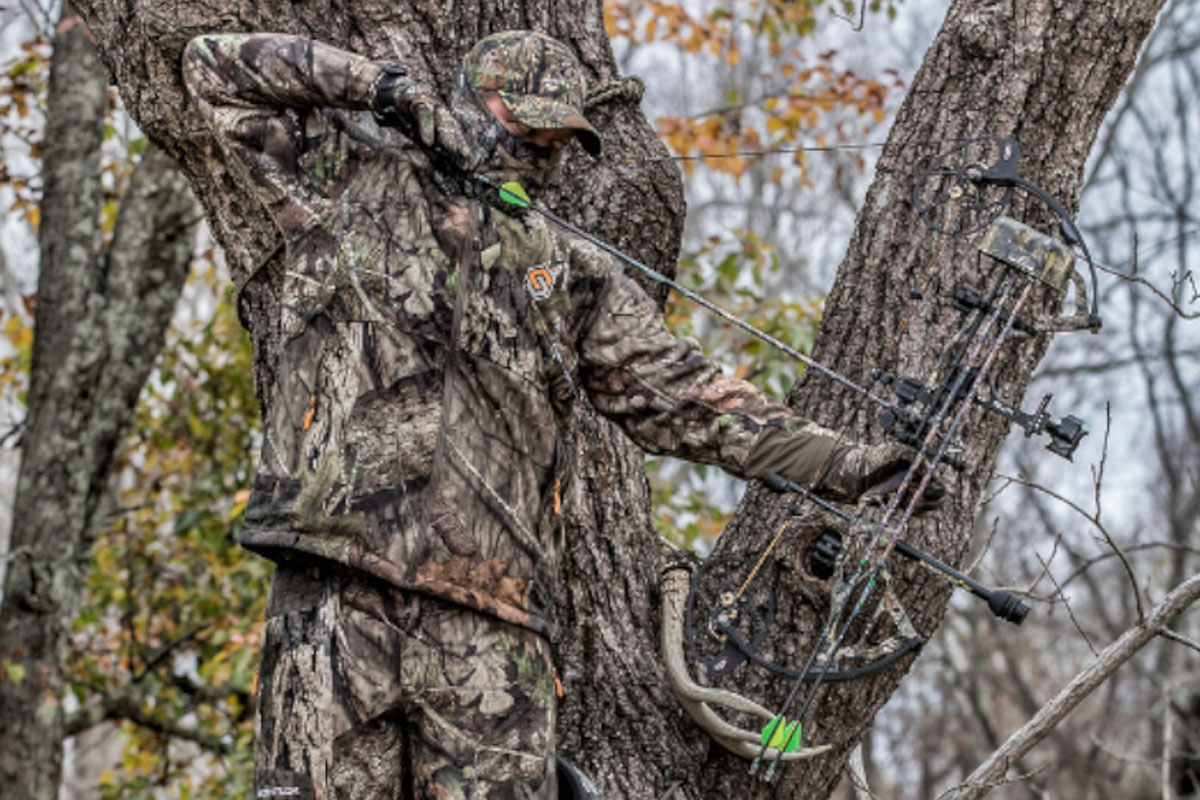 treestand vs. ground blind