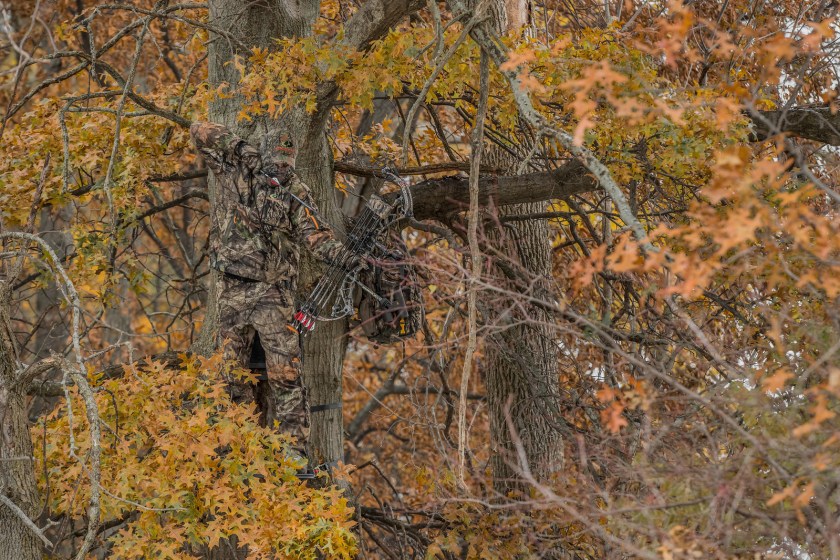 Treestand vs Ground Blind