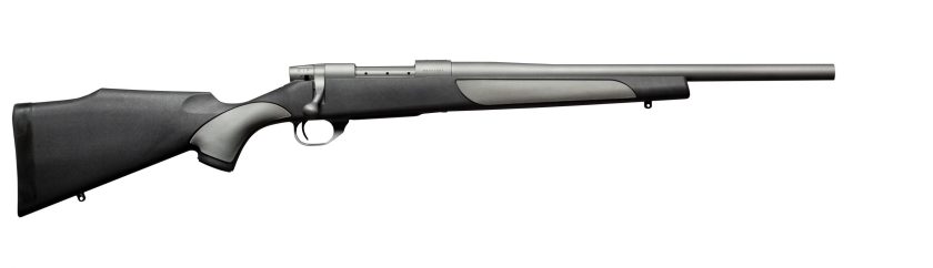 .223 Rifles