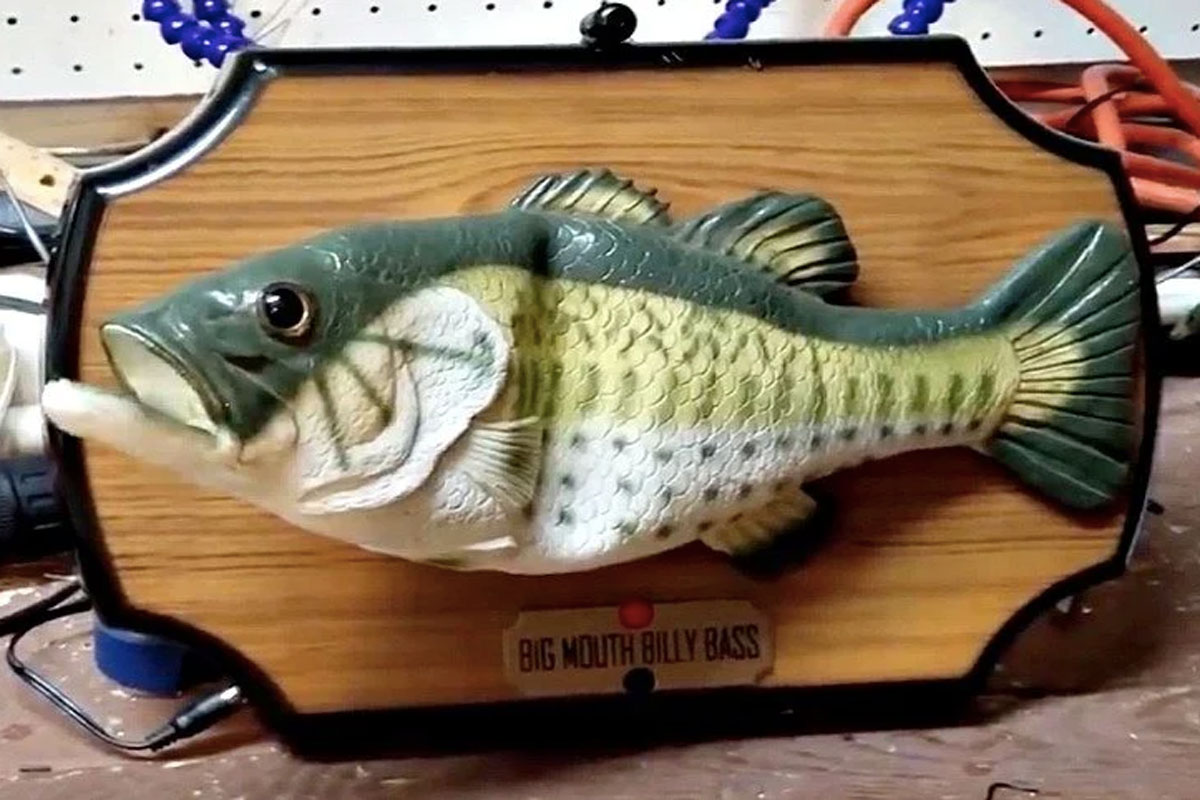 billy bass