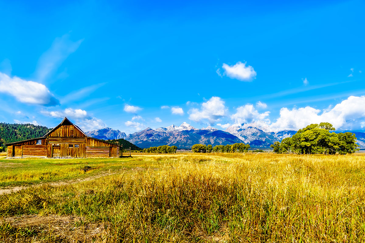 Find Free Land for Homesteading in the U.S.