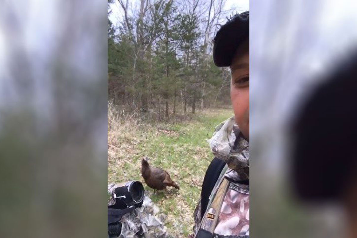 turkey hunt