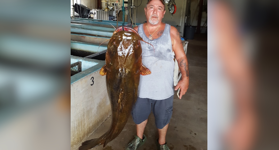 State Record Flathead Catfish