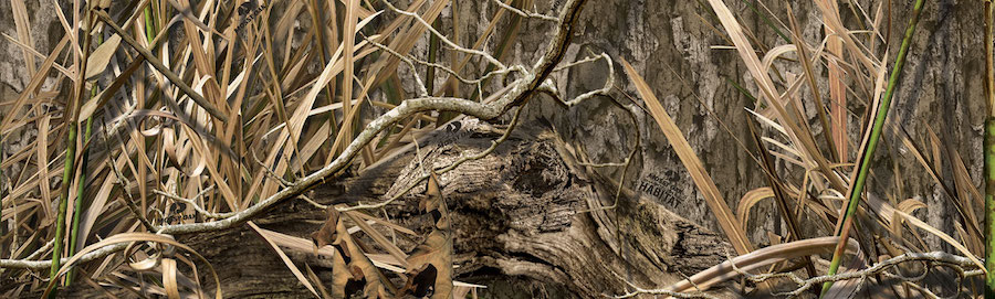 Mossy Oak camo patterns