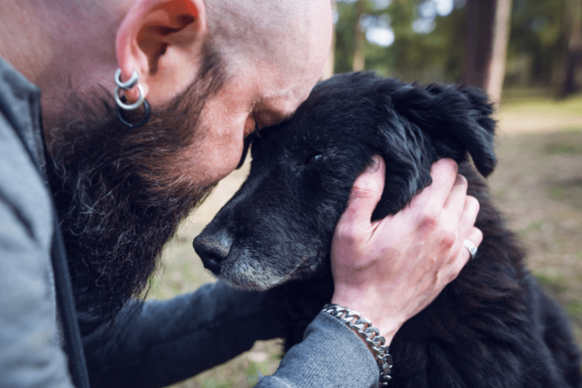 dog head pressing against man