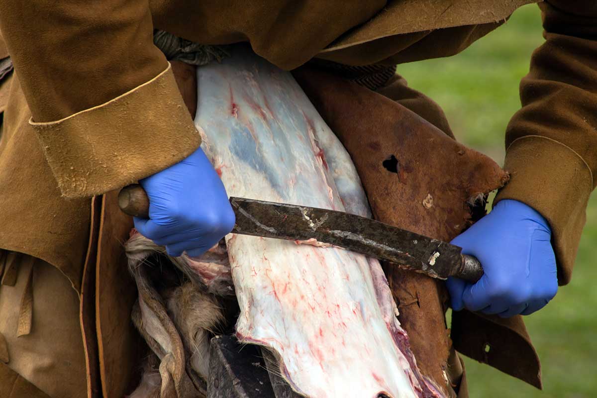 tanning a deer hide