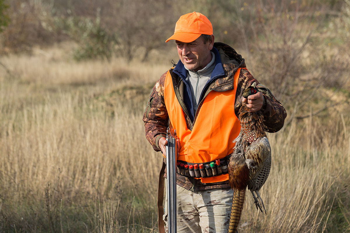 Orvis' Upland Bird Hunting Video is a True Masterpiece Wide Open Spaces