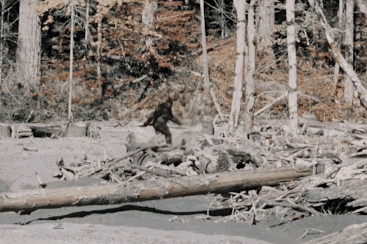 Patterson-Gimlin Film