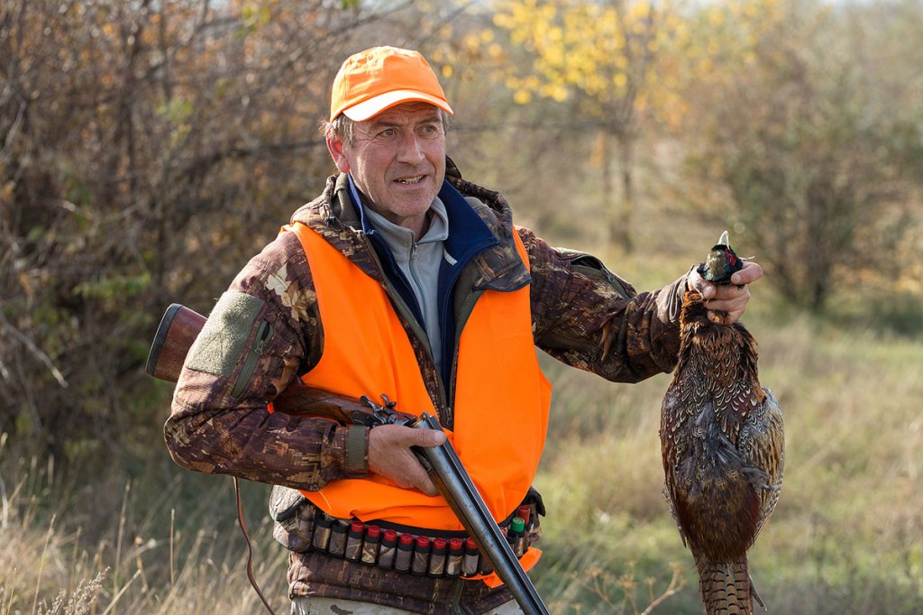 Pheasant Hunting The Ins and Outs for the Uninitiated
