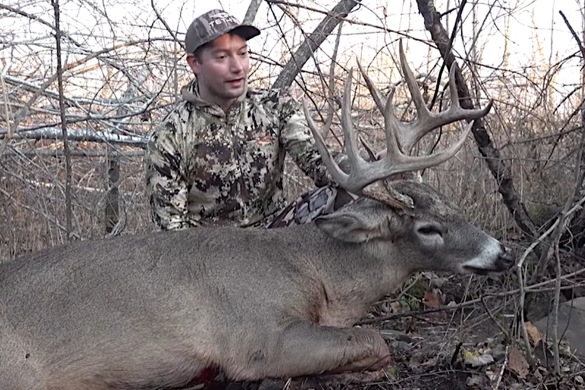 Public Land Buck