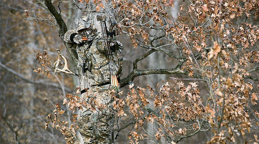 Realtree camo