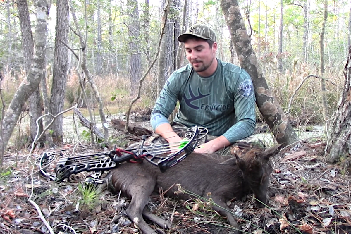 Sika Deer Hunting