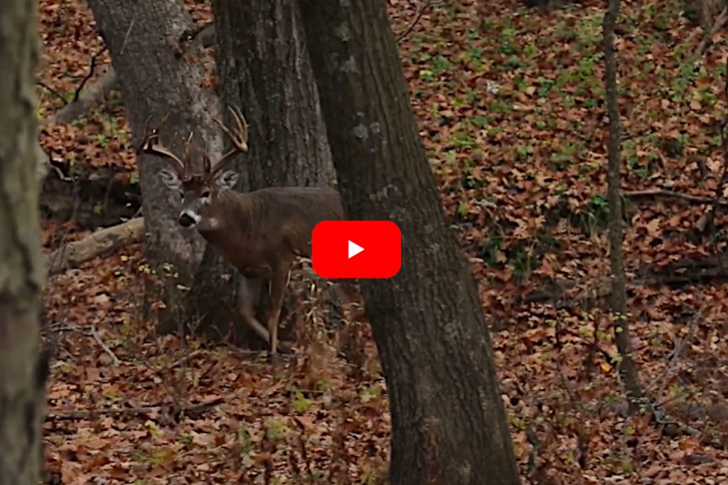 Looking Back on the Largest FreeRange Whitetail Ever Harvested on