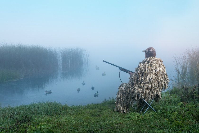 duck hunting golden rules