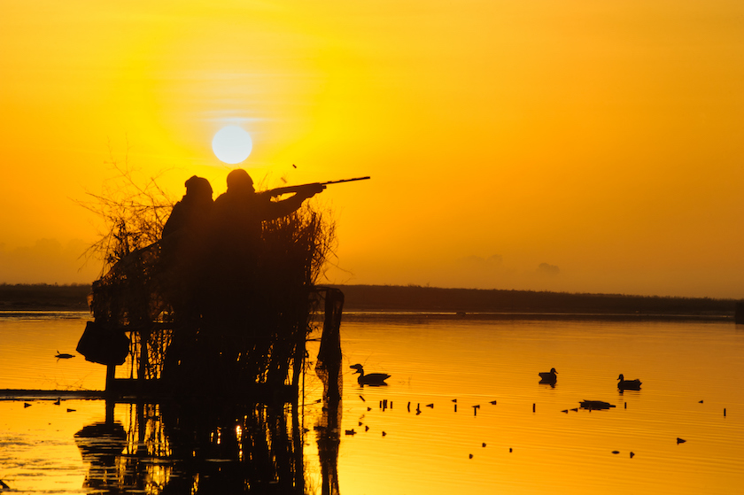 Silhouette of the hunter on a lagoon of a morning dawn