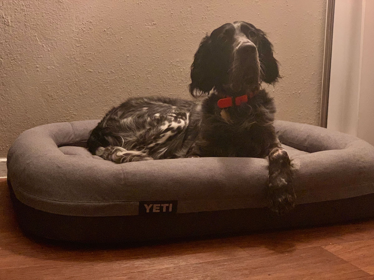 YETI Trailhead Dog Bed