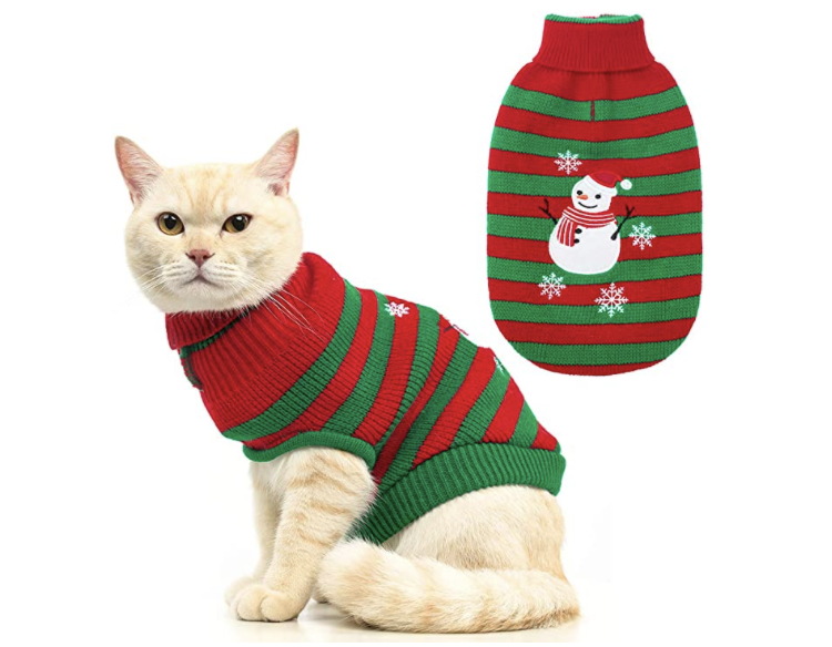 Cat wearing Christmas sweater.