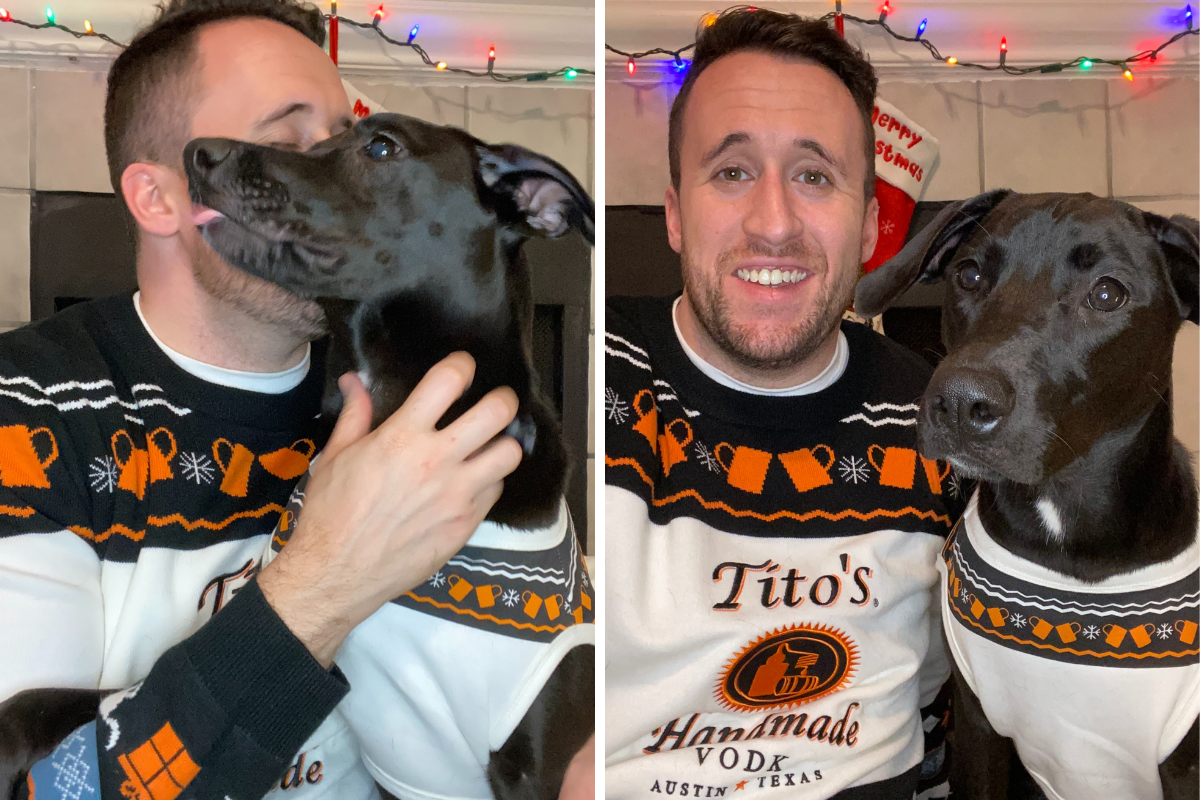 Tito's Vodka Dog Christmas Sweater (1)
