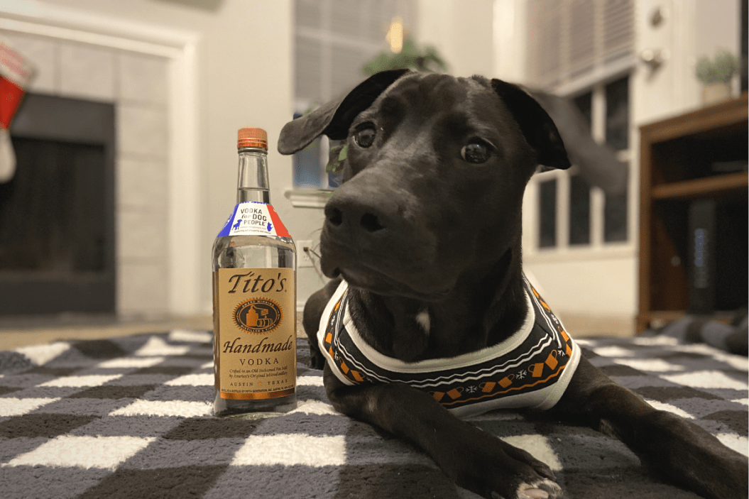 Tito's Vodka for Dog People Created Ugly Dog Sweaters to Raise Money