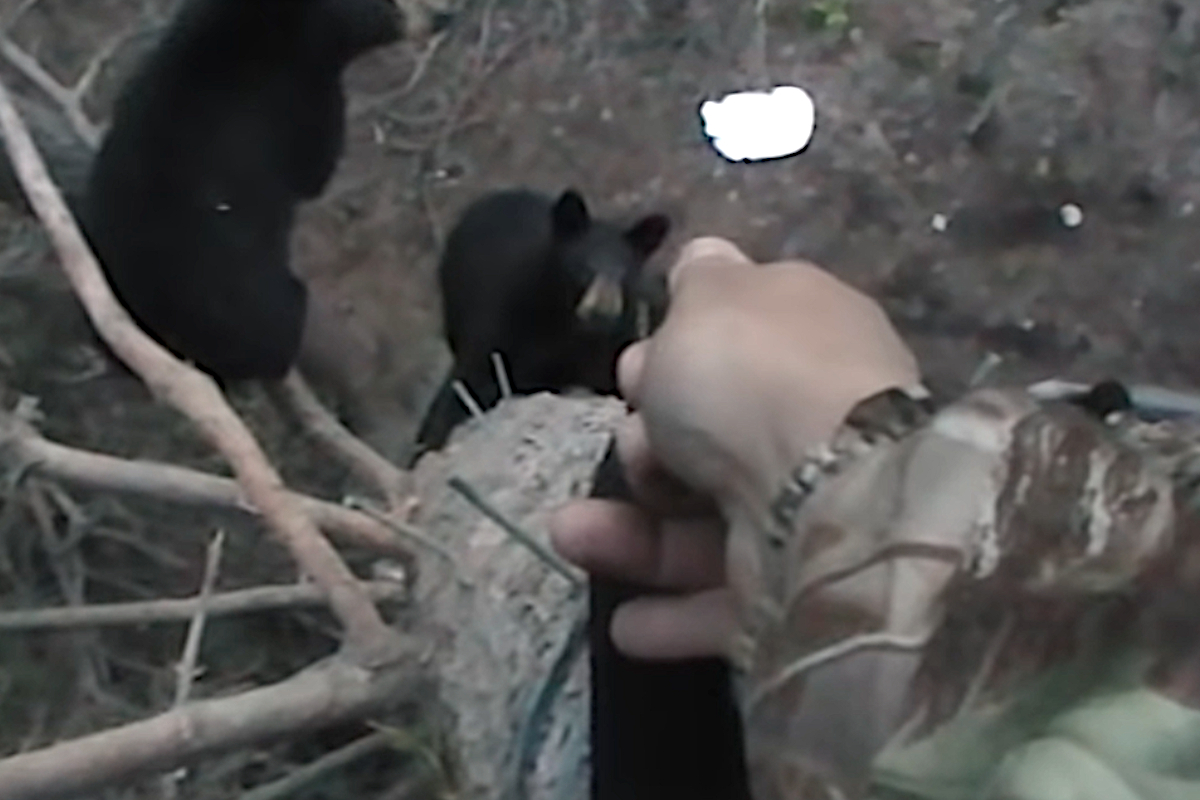 Bear Spray