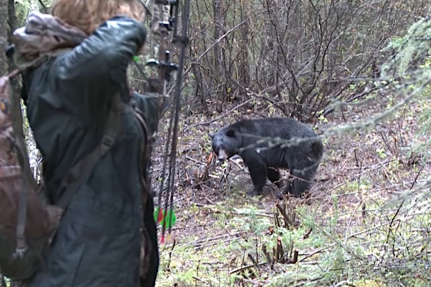 Female Bowhunter Stalks and Arrows Big Black Bear at Close Range Wide