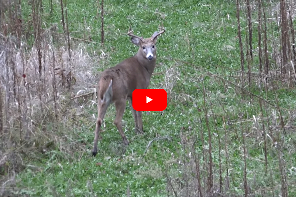 Youth Hunter S Big Buck Makes Jealous Younger Brother Cry And We Can