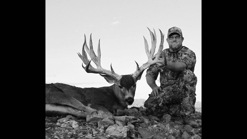 Biggest Mule Deer